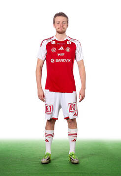 Sandvikens Viggo van der Laan