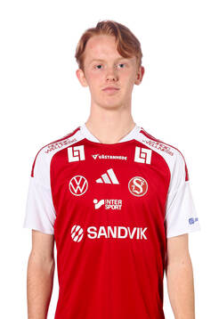 Sandvikens Fabian Andersson
