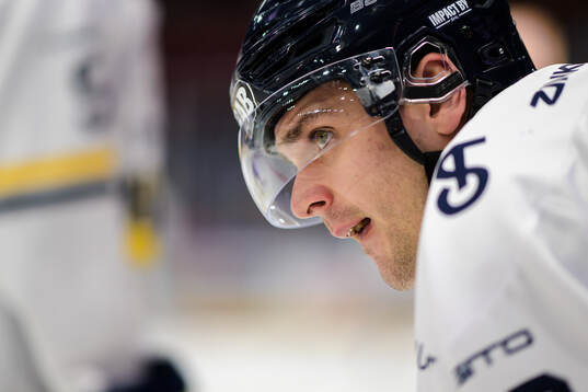 HV71s Nikola Pasic