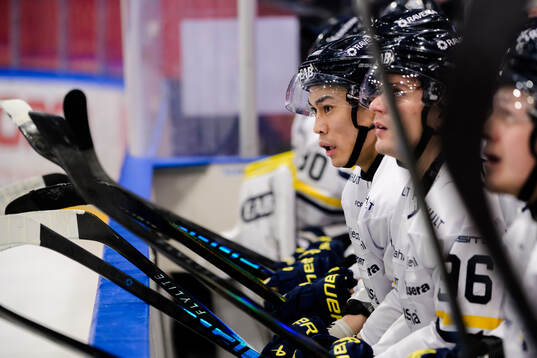 HV71s Jonathan Ang deppar