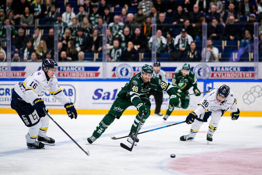 HV71s Linus Lindström och Nikola Pasic