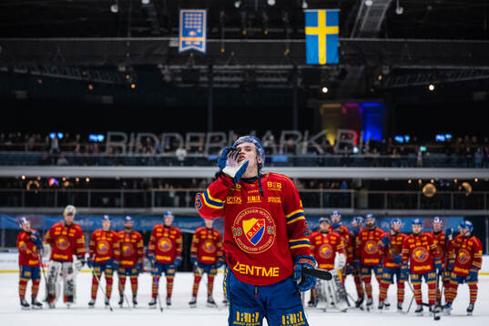 Djurgårdens Håvard Salsten jublar