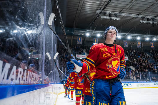 Djurgårdens Håvard Salsten jublar