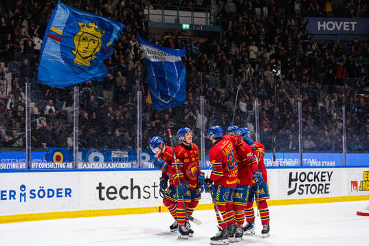 Djurgårdens Håvard Salsten jublar med lagkamrater