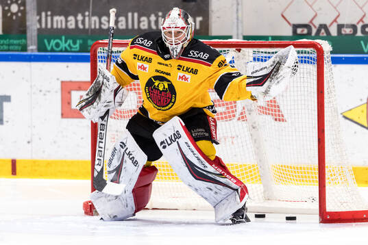 Luleås målvakt Matteus Ward