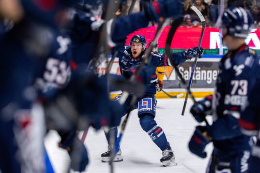 Linköpings Jakub Vrana jublar