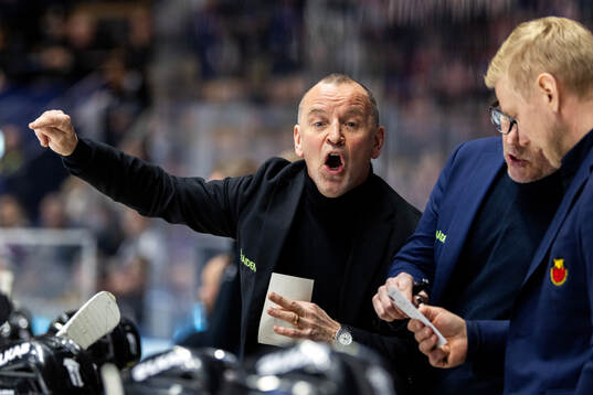 Luleås tränare Thomas Berglund