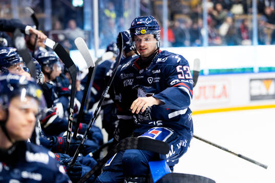 Linköpings Adam Hofbauer