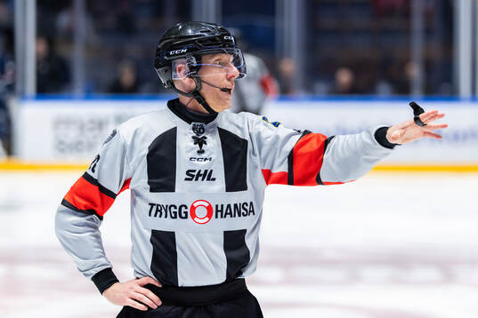 Domare Mikael Holm