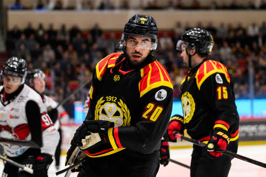 Brynäs Tyler Vesel