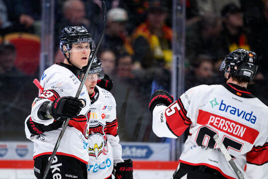 Malmö Redhawks Fredrik Händemark jublar