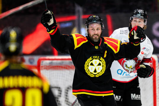 Brynäs Johan Larsson jublar