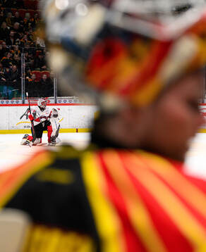 Malmö Redhawks målvakt Oskar Blomgren