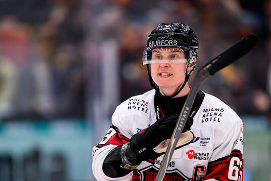 Malmö Redhawks Fredrik Händemark reagerar på domslut