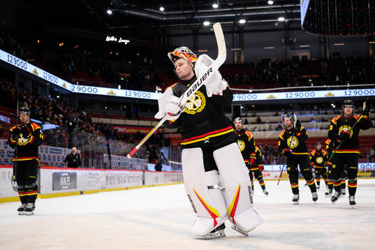 Brynäs målvakt Erik Källgren deppar