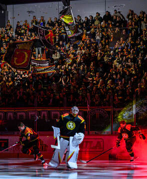 Brynäs målvakt Erik Källgren