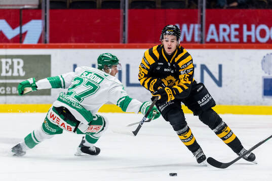 Bläddra bland fler bilder av Ishockey, SHL, Skellefteå - Rögle