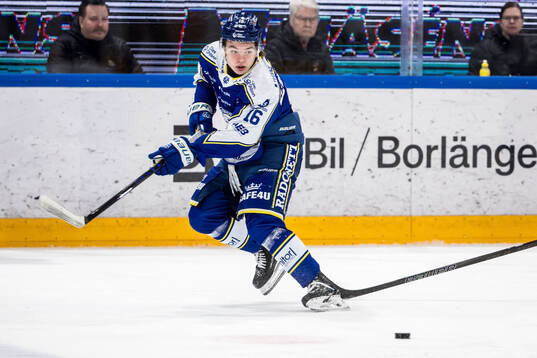 Leksands Rocky Langvardt