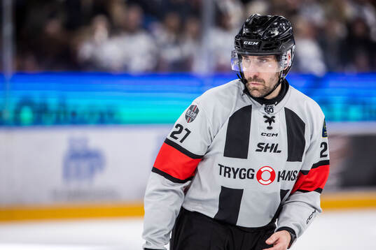 Domare Mikael Sjöqvist