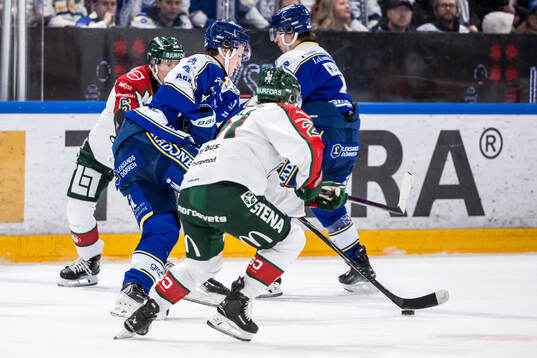 Leksands Tinus Luc Koblar