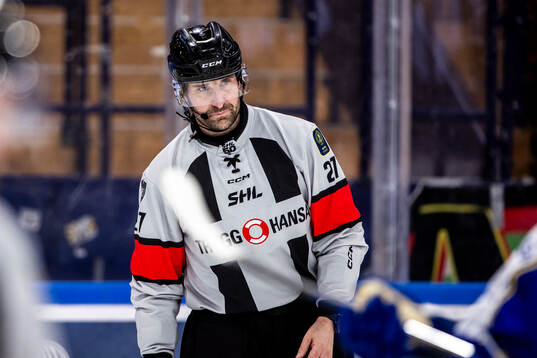 Domare Mikael Sjöqvist