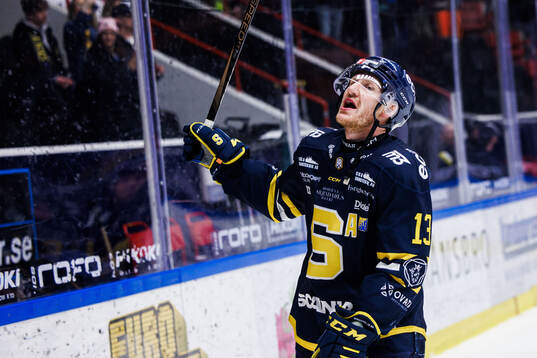 Södertäljes Henrik Eriksson jublar