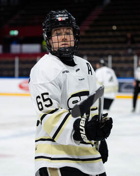 SDEs Lisa Johansson