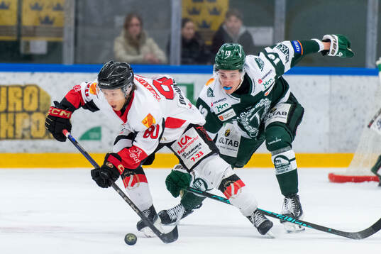 Bläddra bland fler bilder av Ishockey, Kval till Hockeyallsvenskan, Tingsryds AIF - Hanvikens 