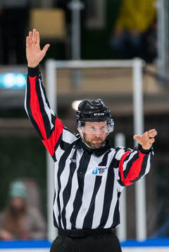 Domare Jim Bergqvist