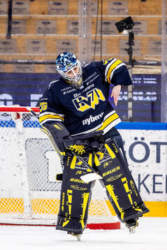 HV71s målvakt Stephanie Neatby jubel