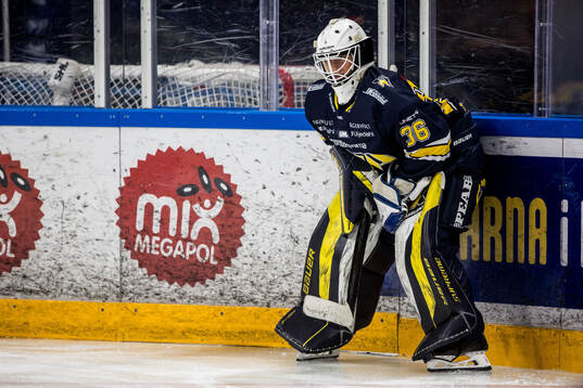 HV71s målvakt Amanda Johansson