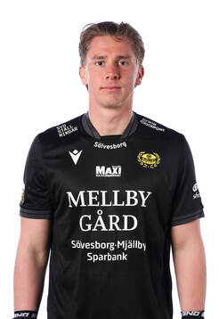 Mjällbys målvakt Amar Dzevlan