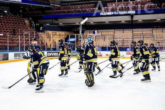 HV71s spelarna jublar