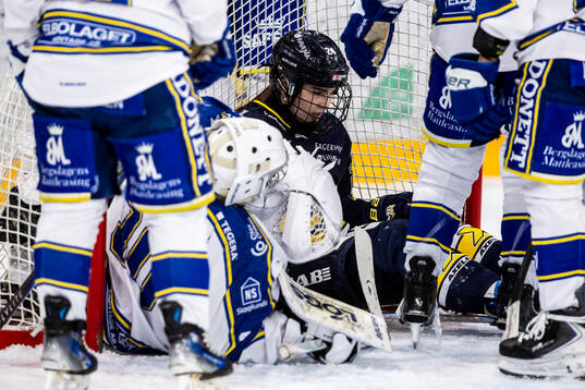 HV71s Adriana Van De Leest