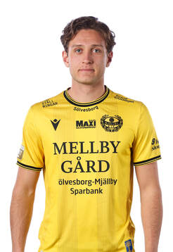 Mjällbys ludvig tidstrand