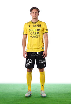 Mjällbys ludvig tidstrand