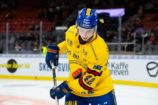 Djurgårdens Theo Stockselius