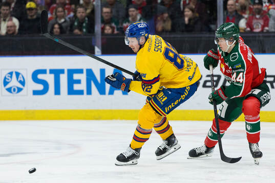 Djurgårdens Colby Sissons och Frölundas Noah Dower Nilsson