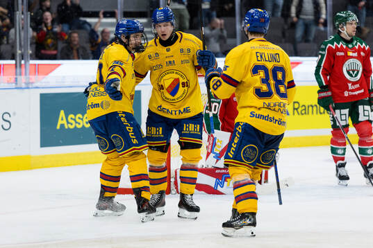 Djurgårdens David Blomgren jublar