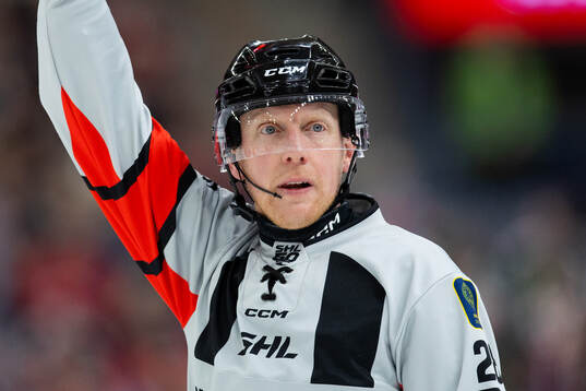 Domare Mikael Holm