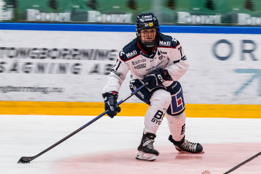 Linköpings Madeleine Leidt