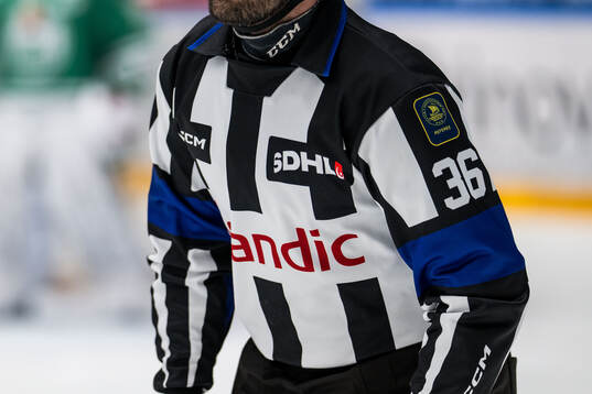 SDHL, huvuddomartröjan