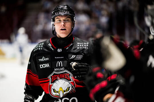 Malmö Redhawks Fredrik Händemark jublar
