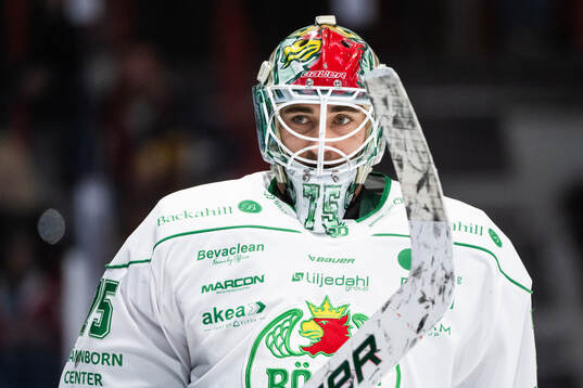 Rögles målvakt Arvid Holm