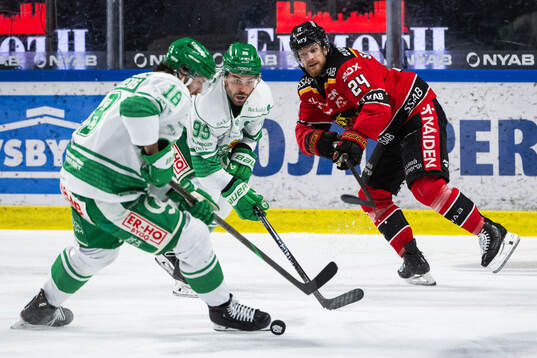 Rögles Mark Friedman och Luleås Brendan Shinnimin