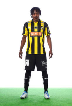 Häckens nioule severin