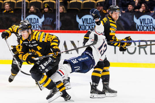 Skellefteås Max Krogdahl och Linköpings Jakub Vrana
