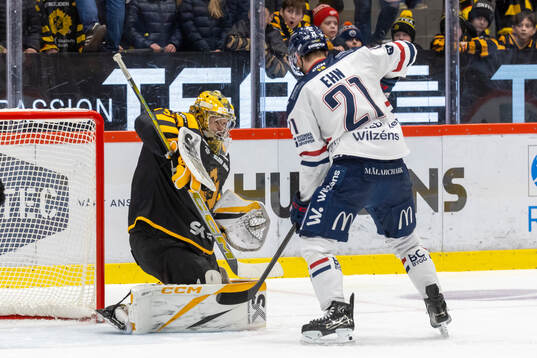 Skellefteås målvakt Linus Söderström och Linköpings