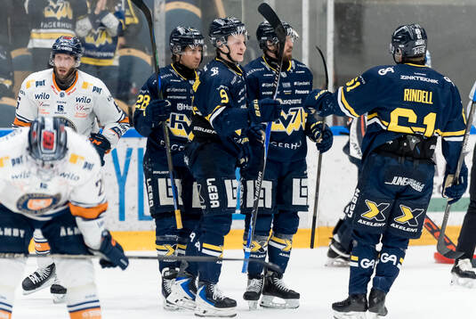HV71s Hugo Pettersson jublar