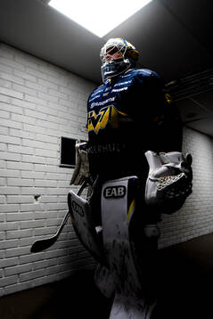 HV71s målvakt Felix Sandström